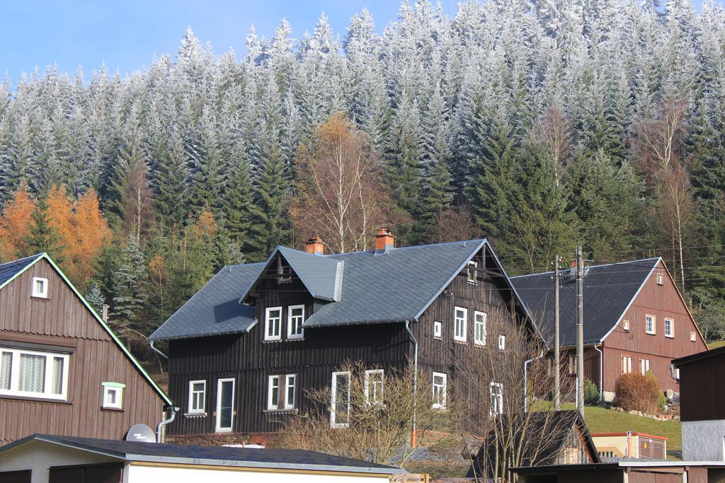 Ferienhaus Anno Dazumal, Wie Zu Oma'S Zeiten Apartment Klingenthal Exterior foto