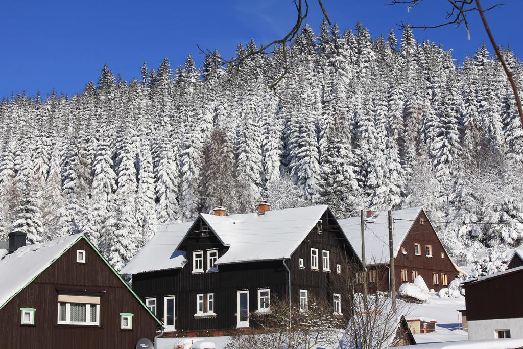 Ferienhaus Anno Dazumal, Wie Zu Oma'S Zeiten Apartment Klingenthal Exterior foto