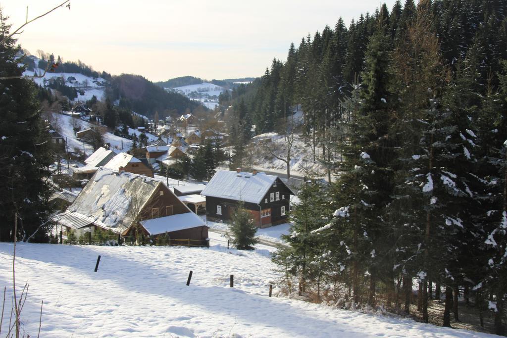 Ferienhaus Anno Dazumal, Wie Zu Oma'S Zeiten Apartment Klingenthal Cameră foto