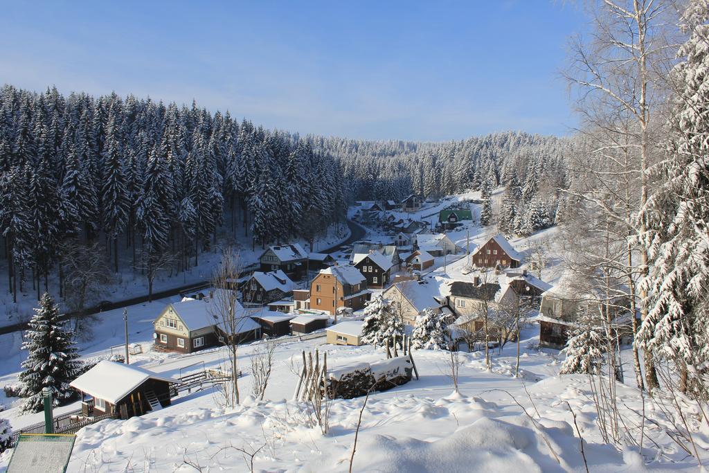 Ferienhaus Anno Dazumal, Wie Zu Oma'S Zeiten Apartment Klingenthal Cameră foto